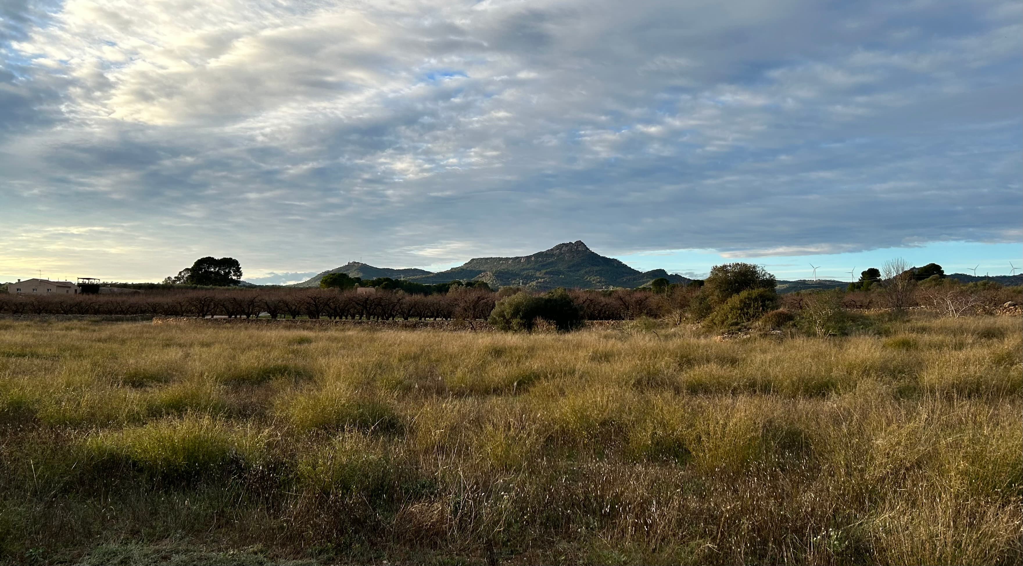 EBRENCA — Terres de l’Ebre